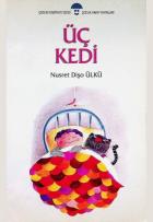 Yerel kapak resmi