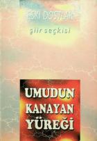 Yerel kapak resmi