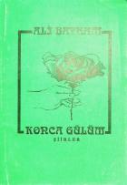 Yerel kapak resmi